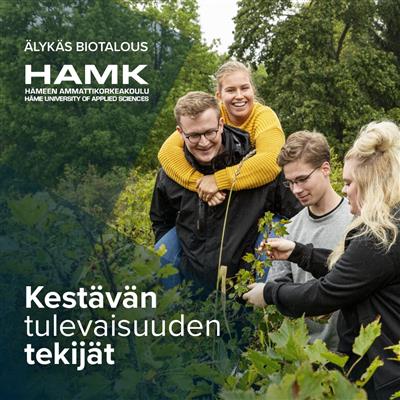 Alan työllisyysprofiilin nosto